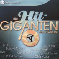 Die-Hit-Giganten-One-Hit-Wonder-B0015RWDA2
