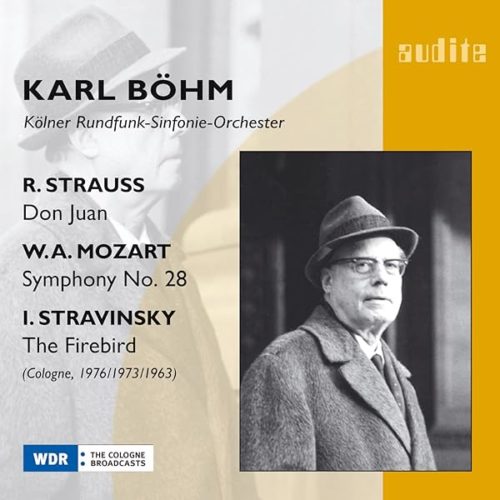 Don Juan / Sinfonie 28 / Feuervogel-Suite – Bild 2