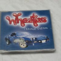 Wheatus   -  Teenage Dirtbag